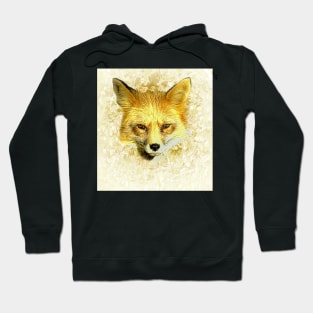 Red fox portrait Hoodie